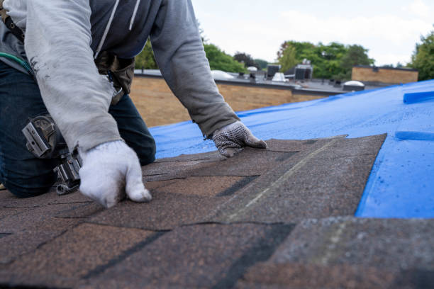 Best Metal Roofing Contractor  in Sibley, LA