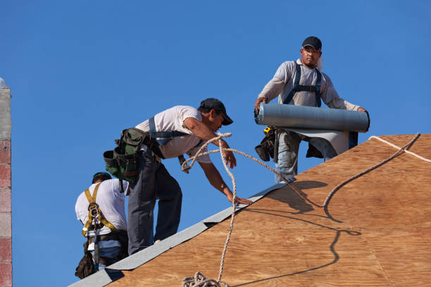 Best Roof Leak Repair  in Sibley, LA